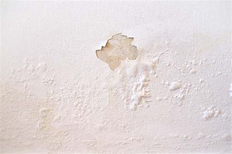 Condensation On Walls: Causes & Solutions - Ascend Construction