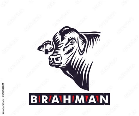 BRAHMAN CATTLE HEAD LOGO, silhouette of great bull head vector ...