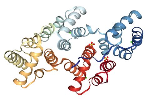 Annexin V/ANXA5 Protein Overview | Sino Biological