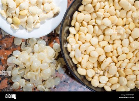 Closeup peeling, before and after bowls with lupini beans superfood, part of legum family ...