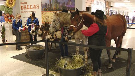 American Airlines to launch daily Dallas flights from Appleton airport