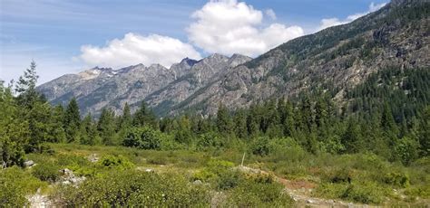 Stehekin River Trail — Washington Trails Association