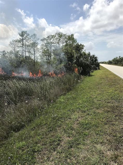 Human-Caused Fires At Everglades Lead To $10,000 Reward Offer