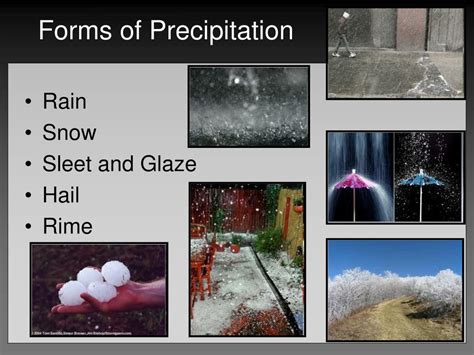 PPT - Lecture 10 Precipitation Processes & Types PowerPoint ...