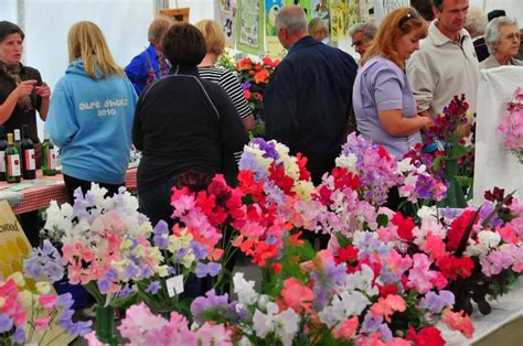 Wem - Shropshire Tourism & Leisure Guide