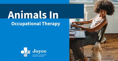 Occupational Therapy Animals | Joyce