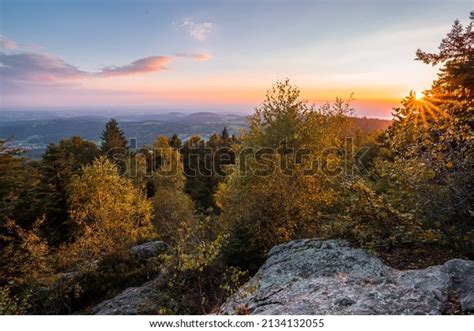 39,112 Bavarian Forest In Bavaria Images, Stock Photos & Vectors ...