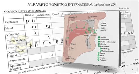 3.1 Alfabeto Fonético Internacional (AFI) en Español | La Colmena ...