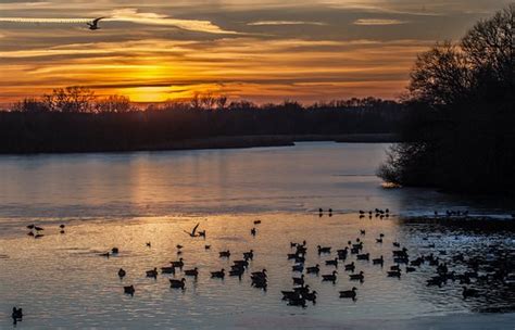 Abberton Reservoir Visitor Centre (Colchester) - All You Need to Know Before You Go (with Photos ...