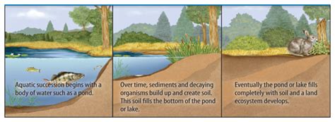 Aquatic Ecosystems - Welcome to Dr. Suris Science Class!