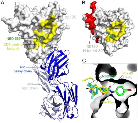 Viral Envelope Glycoprotein Crystallization - Creative Biostructure