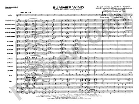 Summer Wind: Vocal Solo with Jazz Ensemble Conductor Score & Parts ...