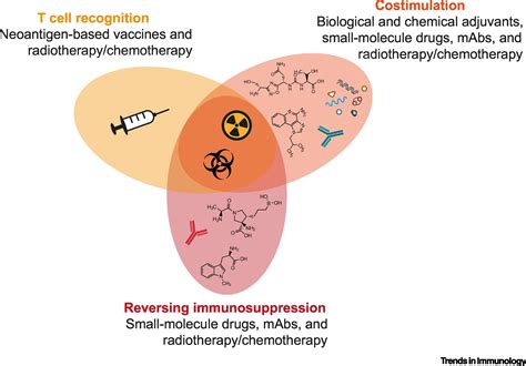 Opportunities for Small Molecules in Cancer Immunotherapy: Trends in Immunology