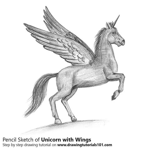 Unicorn with Wings Pencil Drawing - How to Sketch Unicorn ... | Unicorn drawing, Pencil drawings ...