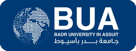 Badr University in Assuit: Log in to the site