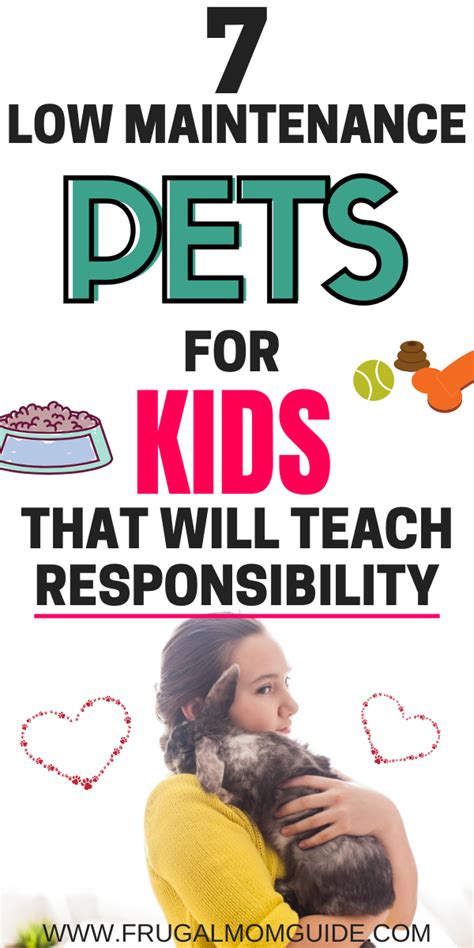 Low Maintenance Pets For Kids If You Are Choosing A Pet For Your Child ...