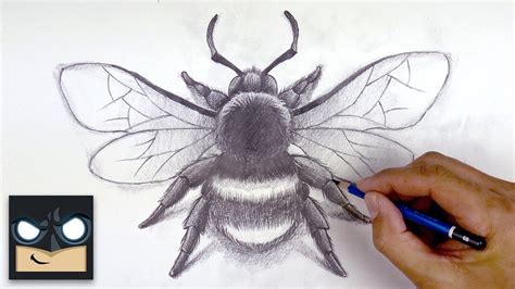 How To Draw a Bumble Bee - Sketch Sunday (Step by Step)