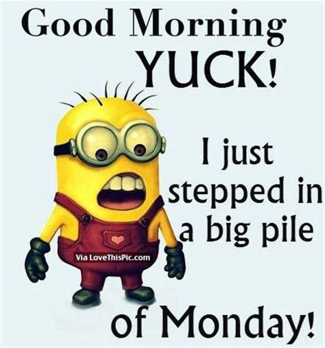 funny-good-morning-quotes-19 | Funny minion quotes, Minions funny, Funny good morning quotes