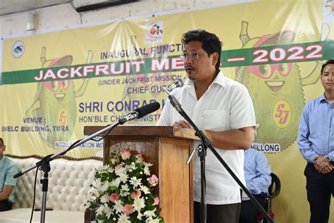 Meghalaya CM Conrad bets big on jackfruit cultivation; eyes Rs 1000 crore production annually