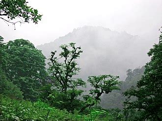 Forests of Iran - Wikipedia