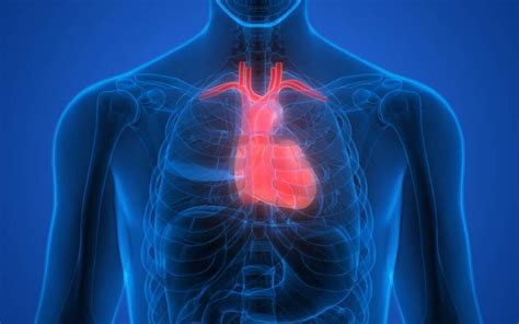 Leaky Heart vs. Hole in Heart: What’s the Difference? - Scripps Health