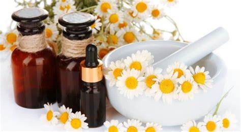 17 Wonderful Uses of Chamomile Essential Oil