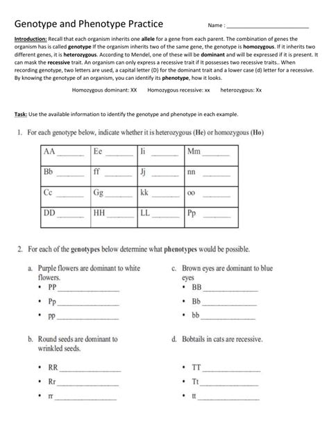 Genotype Phenotype Worksheet