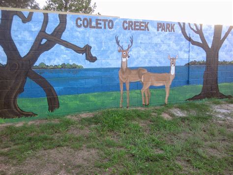 A Brush of Texas: Coleto Creek Park Mural