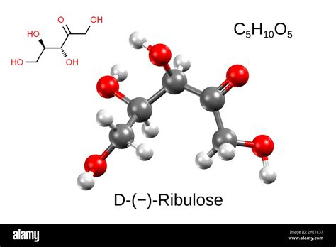 Ketopentose Structure