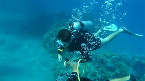 Snorkeling At St. Lucia – A Taste Of Marine Adventure | Scuba diving equipment, Scuba diving, Diving