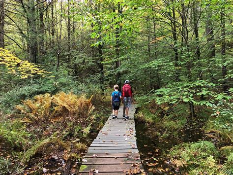 Hiking with Kids in Southern Vermont — Stasia Savasuk