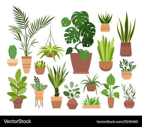 Plant in pot set cartoon flat Royalty Free Vector Image