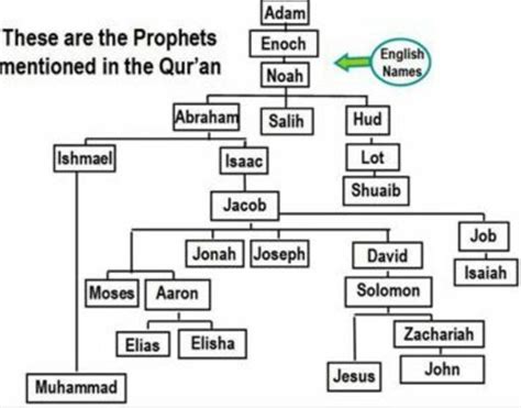 The Prophets (AS) | Wiki | Islam Amino ☪ Amino