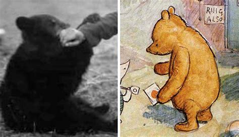 The Wartime Origins of Winnie-the-Pooh