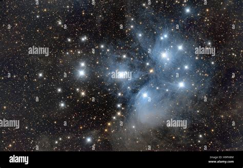 Pleiades in Taurus constellation, subaru, seven sisters visible on the night sky, Messier 45 ...