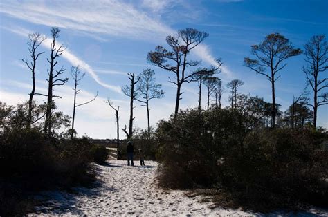 Topsail Hill Preserve State Park | SoWal.com