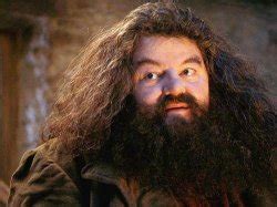 "hagrid" Meme Templates - Imgflip