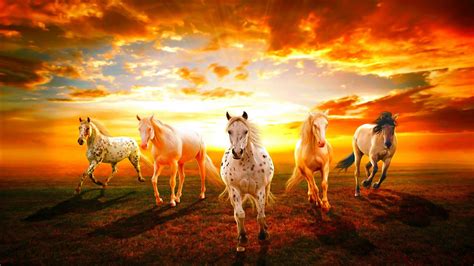 Horses With Background Sunset And Sky With Clouds HD Horse Wallpapers ...