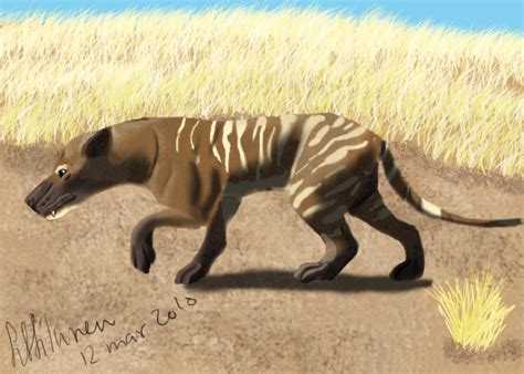 Hyaenodon by fiffiluren on DeviantArt