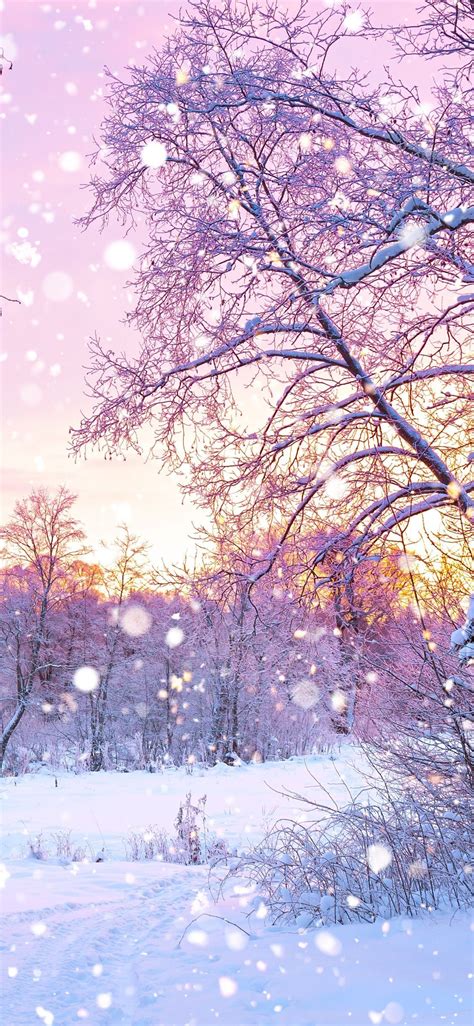 [19++] Stunning Cute Winter Aesthetics Wallpapers