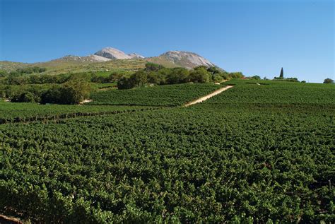 Paarl - Greatest Africa