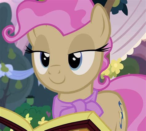 Mayor Mare is a female Earth pony and the mayor of Ponyville who first ...