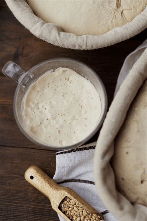 Sourdough Vs Yeast - What's The Difference?