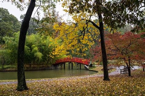 Memphis Botanic Garden | Memphis botanic garden, Botanical gardens ...