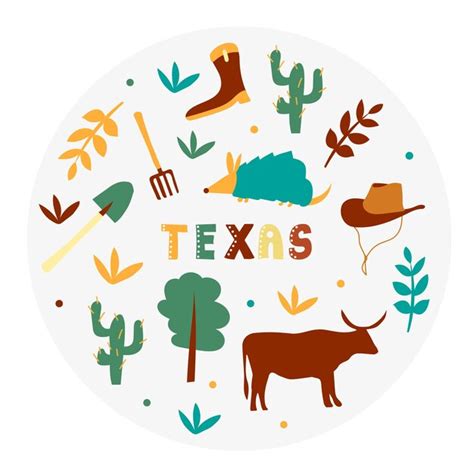 Premium Vector | Usa collection. vector illustration of texas. state ...