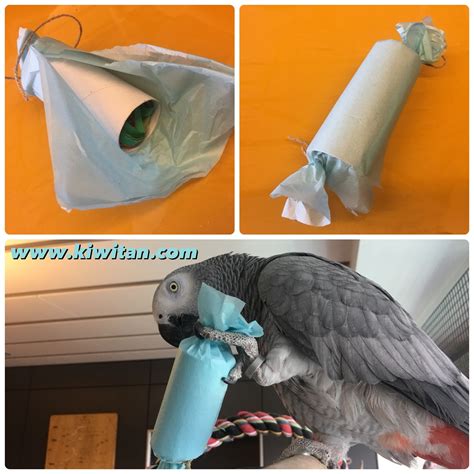 Paper roll candies filled with shredded paper and treats for parrot foraging | Diy parrot toys ...