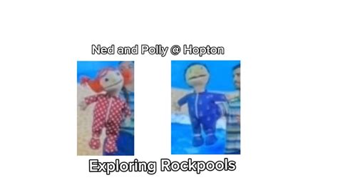 Haven Holidays Hopton: Exploring Rockpools With Ned and Polly - YouTube