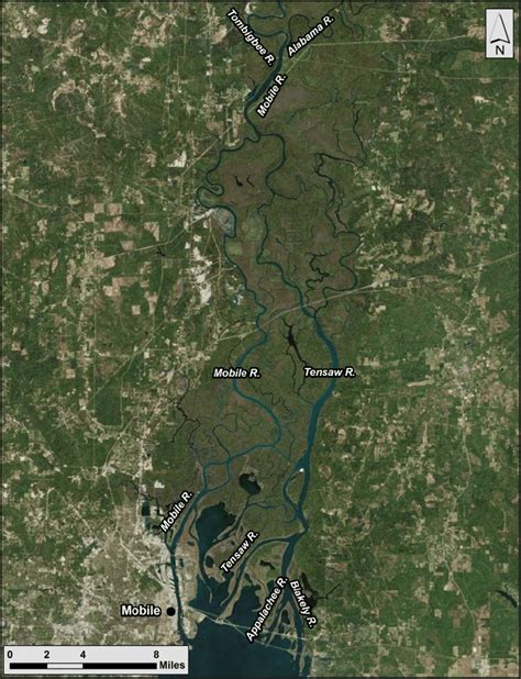 Mobile-Tensaw River Delta between the confluence of the Alabama and... | Download Scientific Diagram