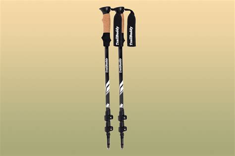 7 Best Trekking Poles - Facts.net