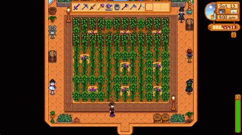 The Best Guide for Stardew Valley Greenhouse Layout - Stardew | Guide